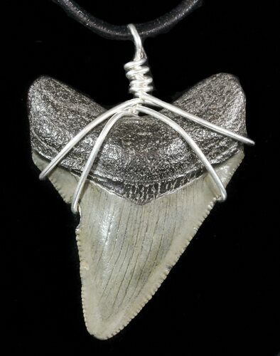 Fossil Megalodon Tooth Necklace #47771